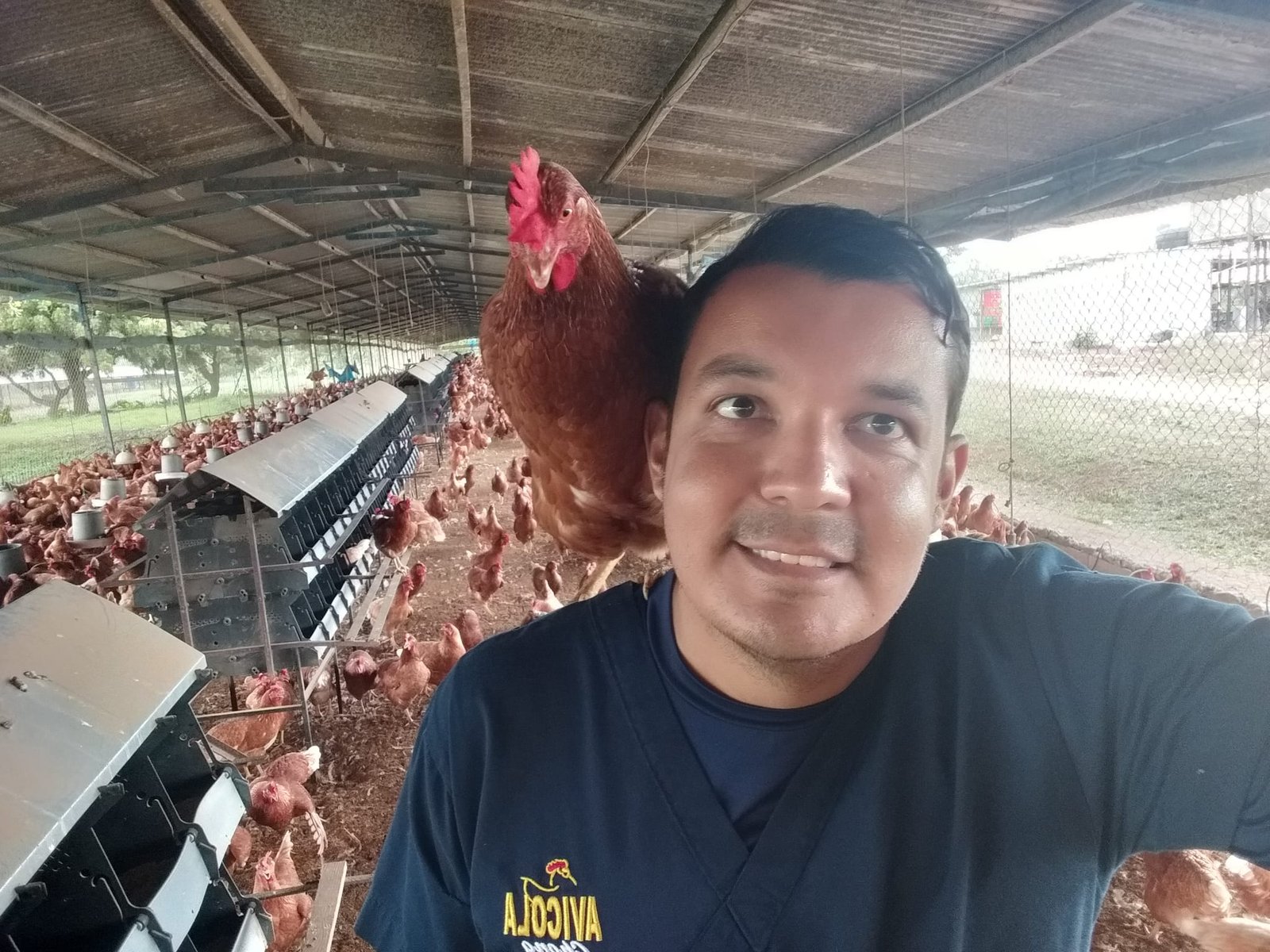 chicken selfie 04