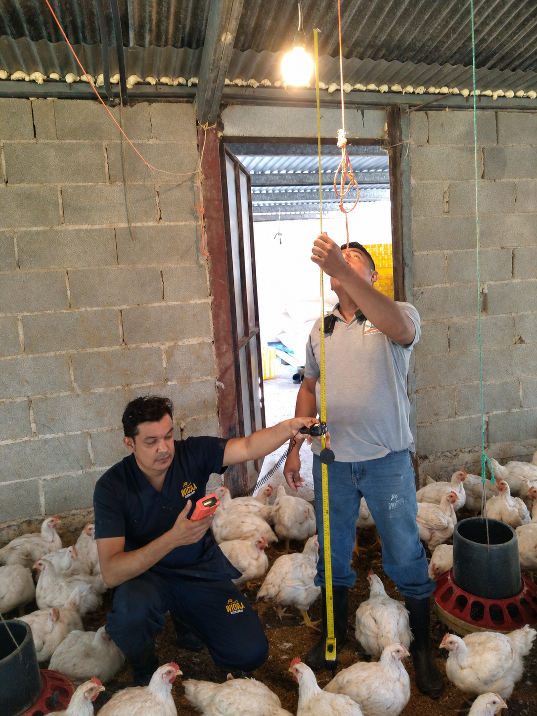 galpon preparacion